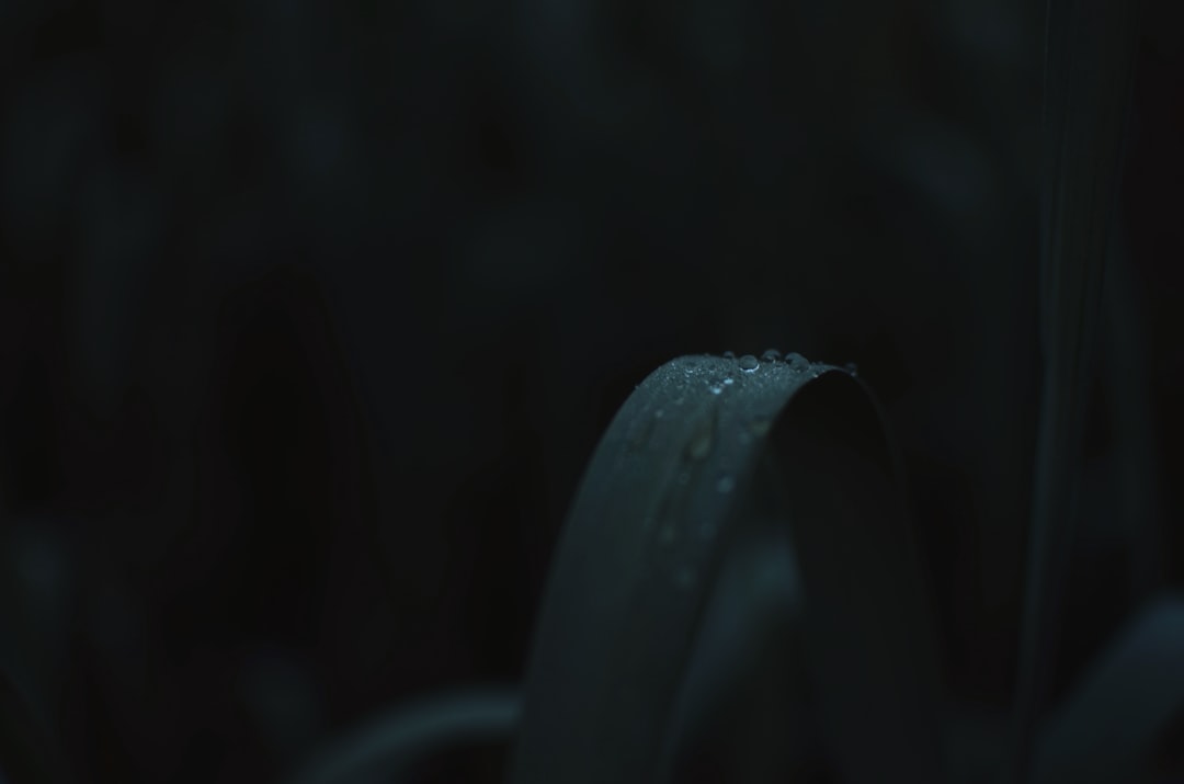 生态农业产品线对比:有机种植与常规种植的投入产出分析
